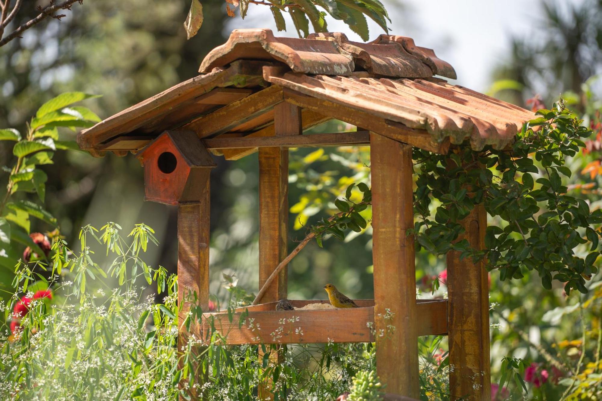 Cotiporã Cabana Veneto Na Serra Gaucha Prox A Bento Goncalvesヴィラ エクステリア 写真